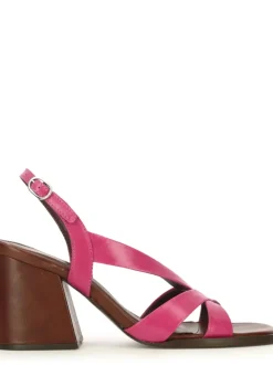 1541016 FUCSIA