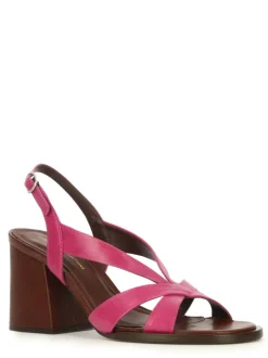 1541016 FUCSIA
