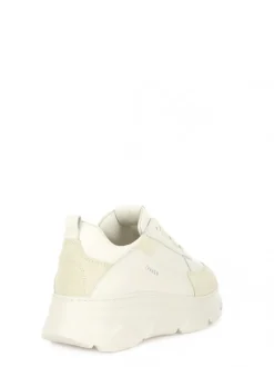 CPH 46 CREAM